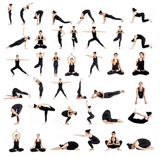 运动中的瑜伽美人