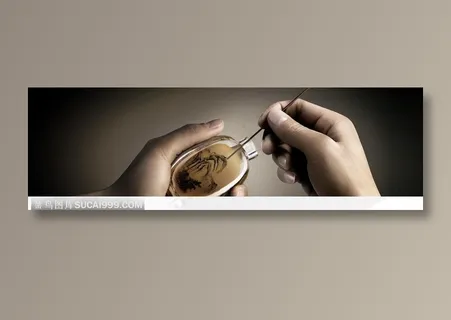 描绘香烟壶瓶中画