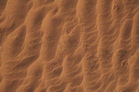 荒漠黄沙背景图片