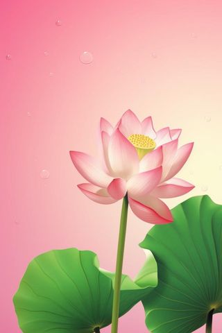 清爽简约创意粉色荷花插画背景