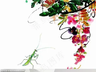 昆虫水墨画-螳螂四