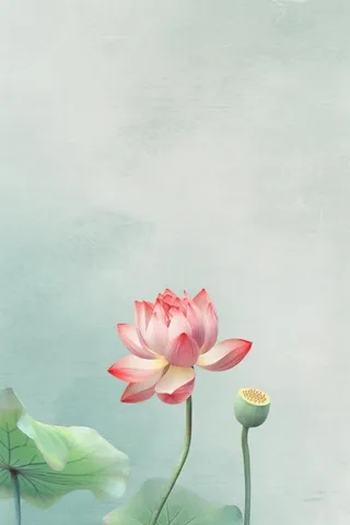 青色国风简约淡雅荷花背景