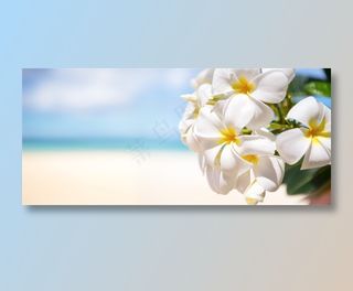 海边沙滩上生长的鲜花摄影高清图片