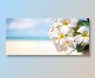 海边沙滩上生长的鲜花摄影高清图片