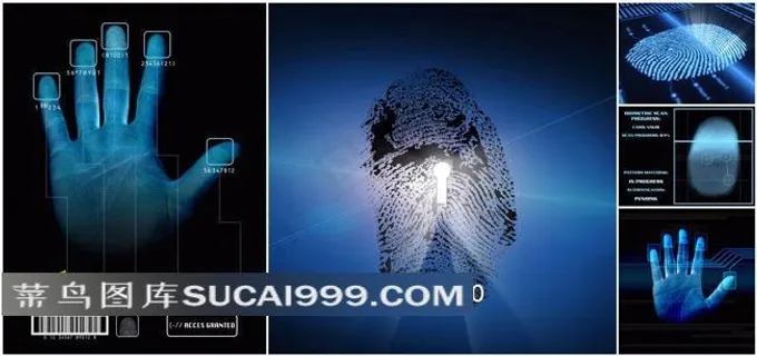 科技信息指纹扫描