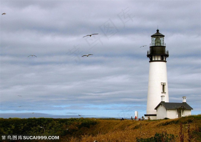 草原上高清晰白色灯塔图片