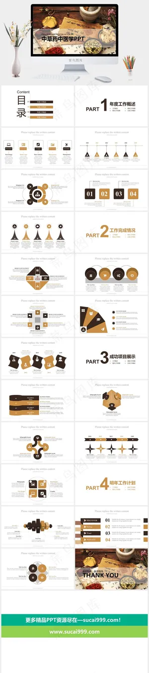 中药中医治病PPT模板ppt模版