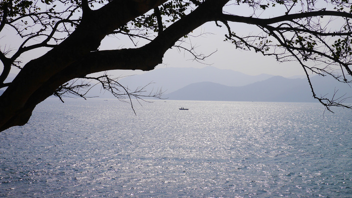 夏日海边波光粼粼日落