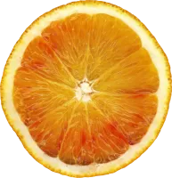 1_orange_PNG813