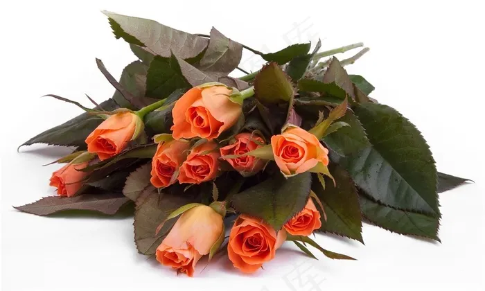 玫瑰花卉花束