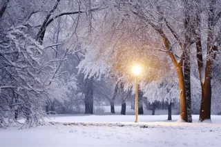 下雪天树下的路灯摄影图