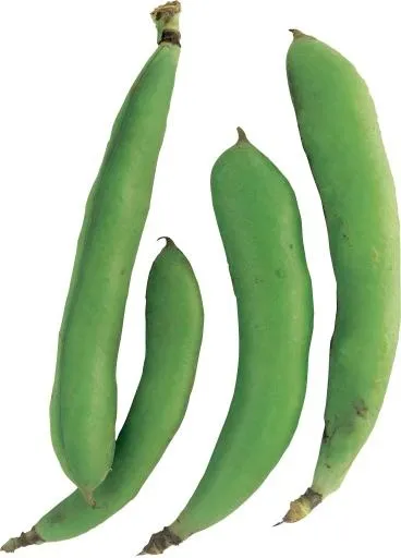 绿豆 PNG免抠(2013x2800)