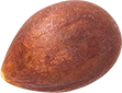 01_Apple Seed
