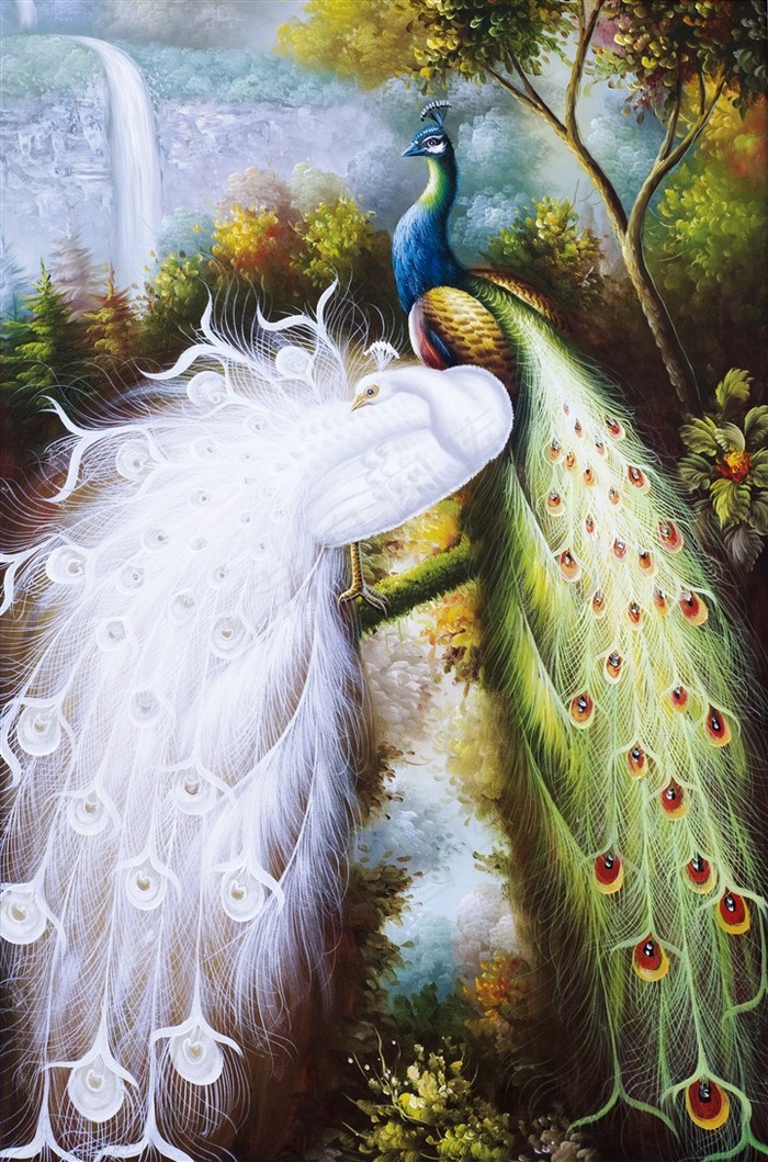 孔雀背景装饰画