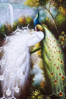 孔雀背景装饰画 孔雀背景装饰画