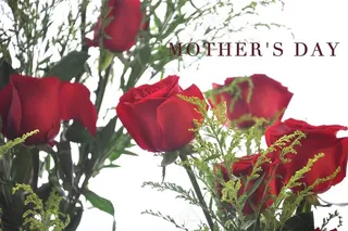 红色玫瑰花特写