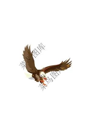 老鹰矢量图