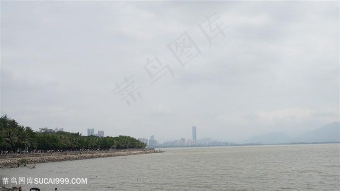 海边风景红树林