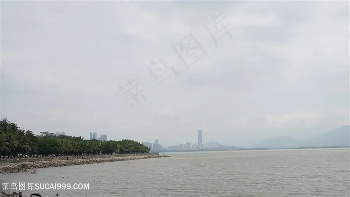 海边风景红树林