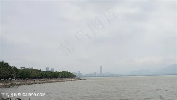 海边风景红树林 海边风景红树林