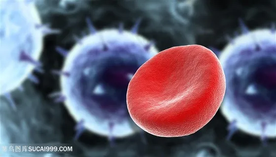 病毒微生物设计高清 病毒微生物设计高清