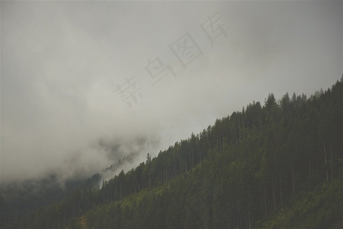 山林中的雾大图