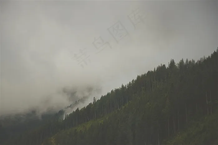 山林中的雾大图