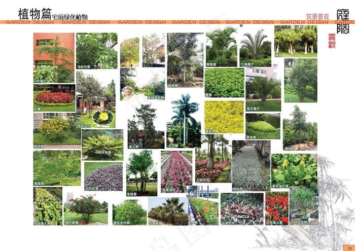 住宅前绿化植物