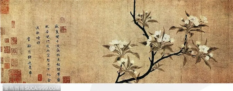 花鸟篇-海棠花 花鸟篇-海棠花