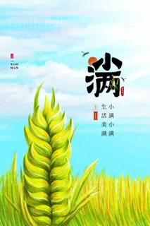 小满 小满节气海报