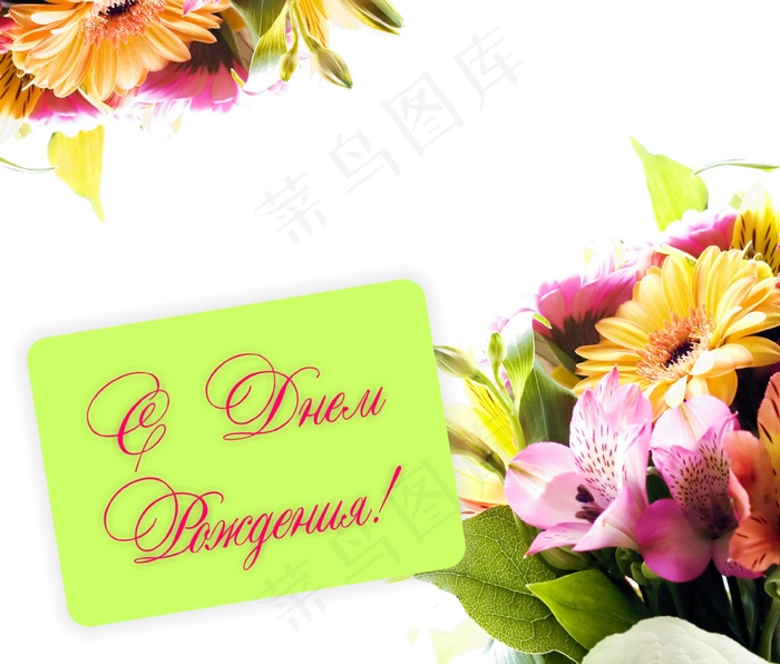 高清鲜花卡片图片下载