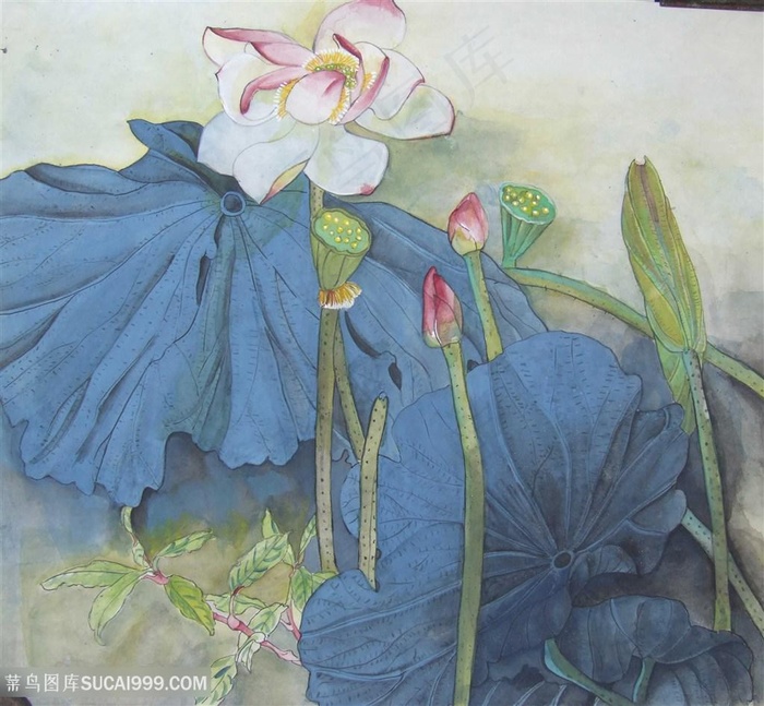 唯美中式莲花高清装饰画