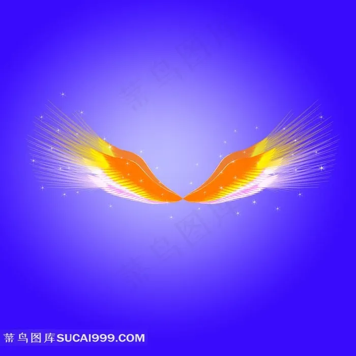 金色天使翅膀