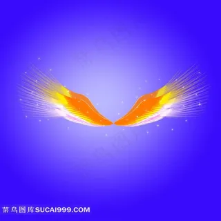 金色天使翅膀