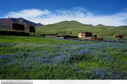 理塘毛亚草原 理塘毛亚草原