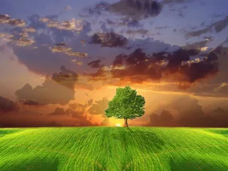 自然风光 高清壁纸 (66)