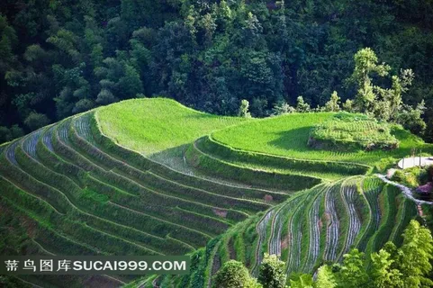 桂林龙胜龙脊梯田摄影 桂林龙胜龙脊梯田摄影