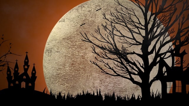 月亮, 蝙蝠, 万圣节, 幽灵般的, 飞行, 多雾路段