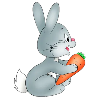 灰兔兔子兔年