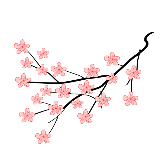 春天浪漫粉红色樱花手绘樱花梅花桃花花朵图片PNG免扣素材