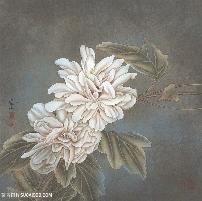 中式花卉唯美装饰画
