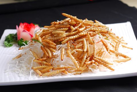 XTS115云南菜--油酥竹虫