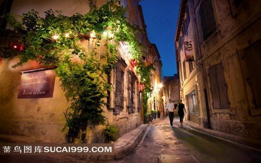 法国圣雷米普罗旺斯浪漫的夜间街道场景
