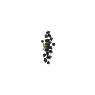 桑葚素材免扣装饰