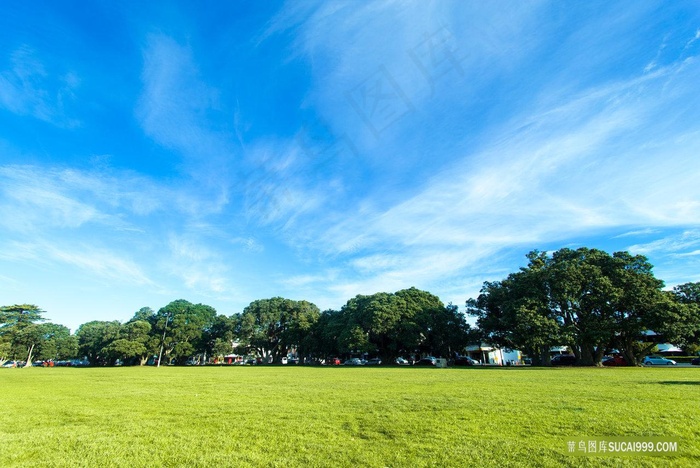 城市的绿草地高尔夫球场