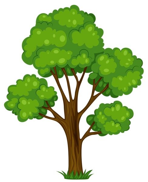 树PNG免抠(488x600)
