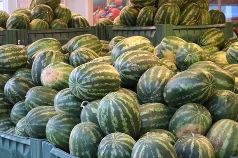 市场西瓜出售图片 市场西瓜出售图片
