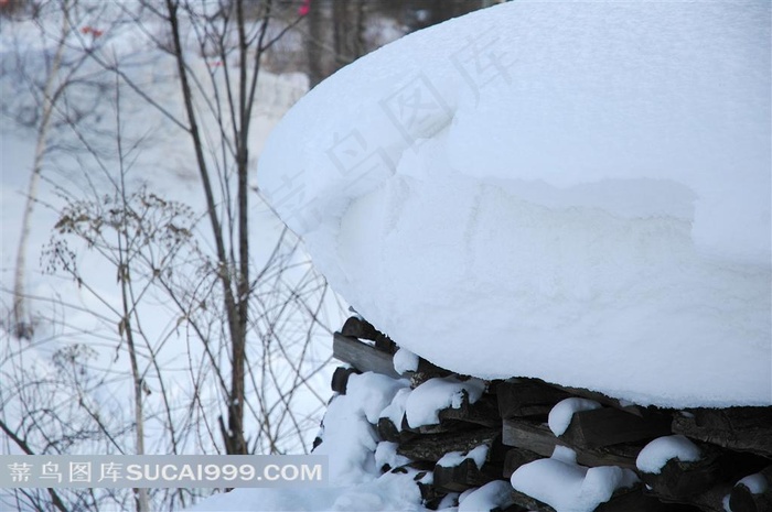 木头上厚厚的积雪