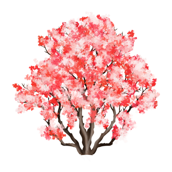 春天浪漫粉红色樱花手绘樱花梅花桃花花朵图片PNG免扣素材