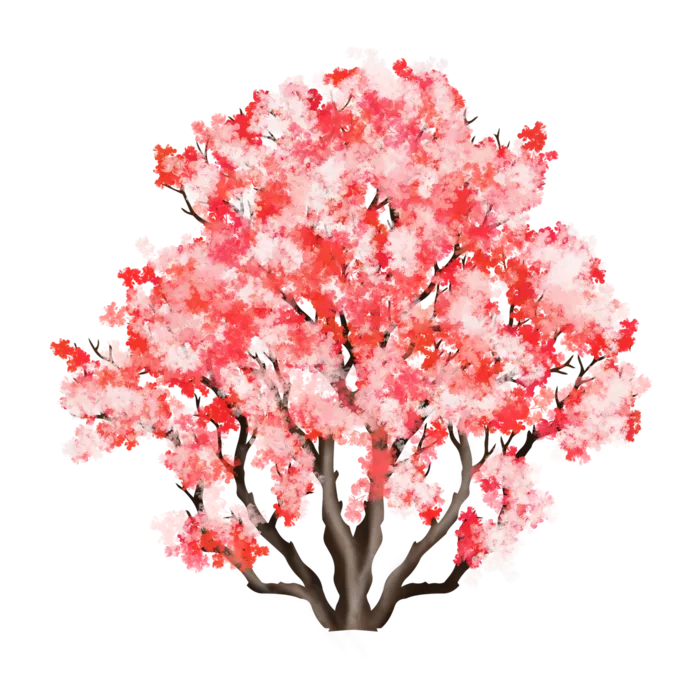 春天浪漫粉红色樱花手绘樱花梅花桃花花朵图片PNG免扣素材